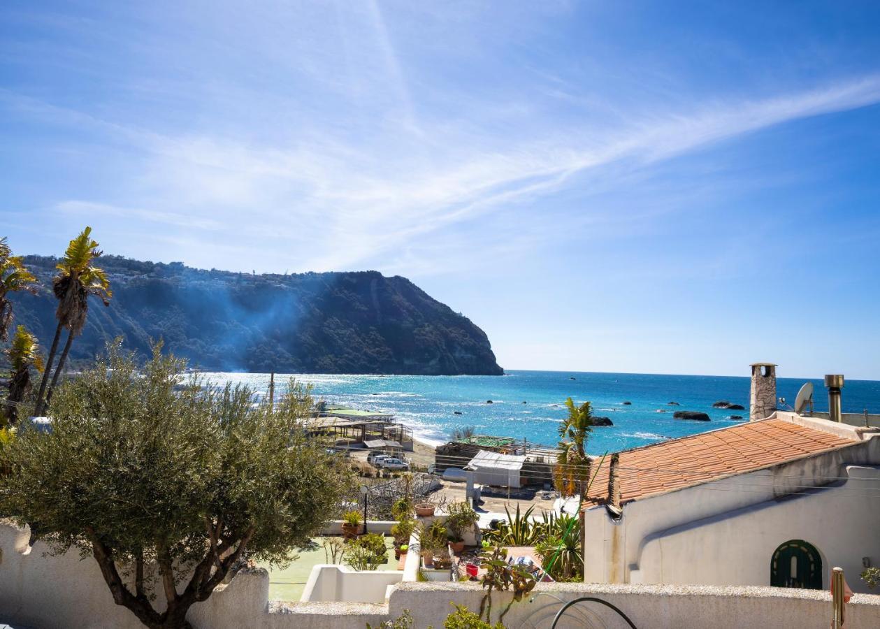 Lucia Maison Forio di Ischia Dış mekan fotoğraf