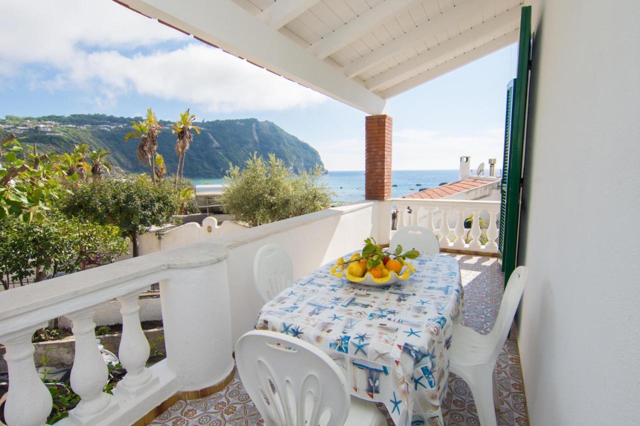 Lucia Maison Forio di Ischia Dış mekan fotoğraf
